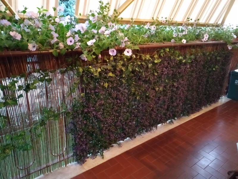 Revisione aperta modale 1 su 5