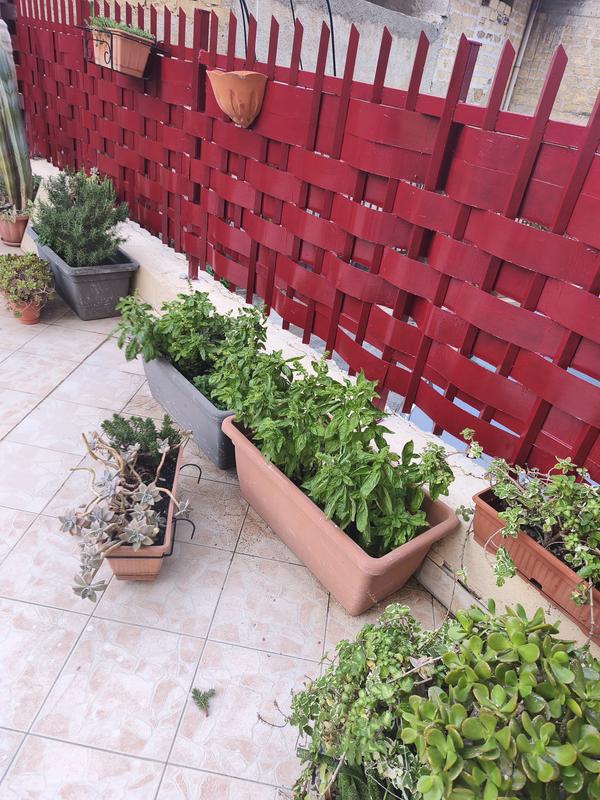 Revisione aperta modale 2 su 2