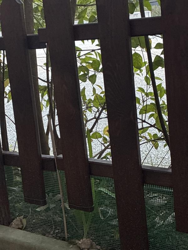 Revisione aperta modale 1 su 1