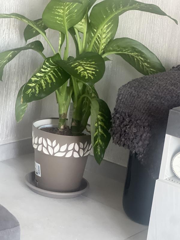 Revisione aperta modale 1 su 1