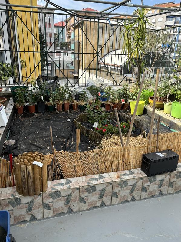 Revisione aperta modale 2 su 2