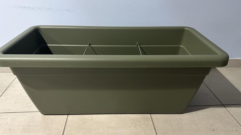 Revisione aperta modale 1 su 2