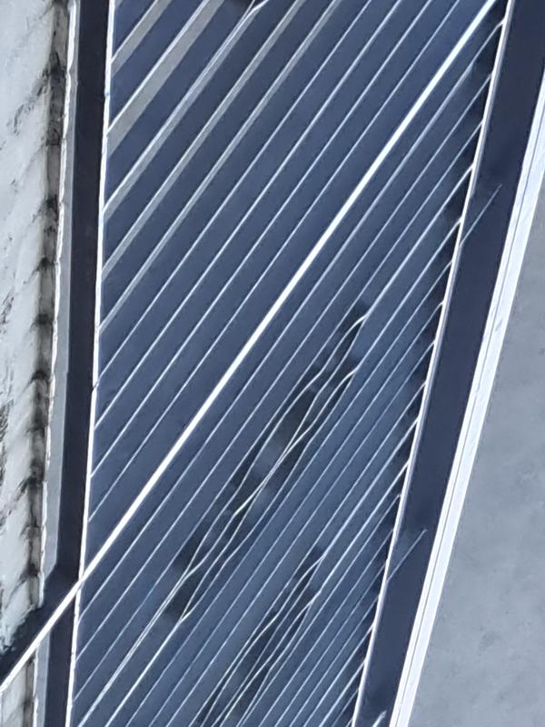 Revisione aperta modale 1 su 1