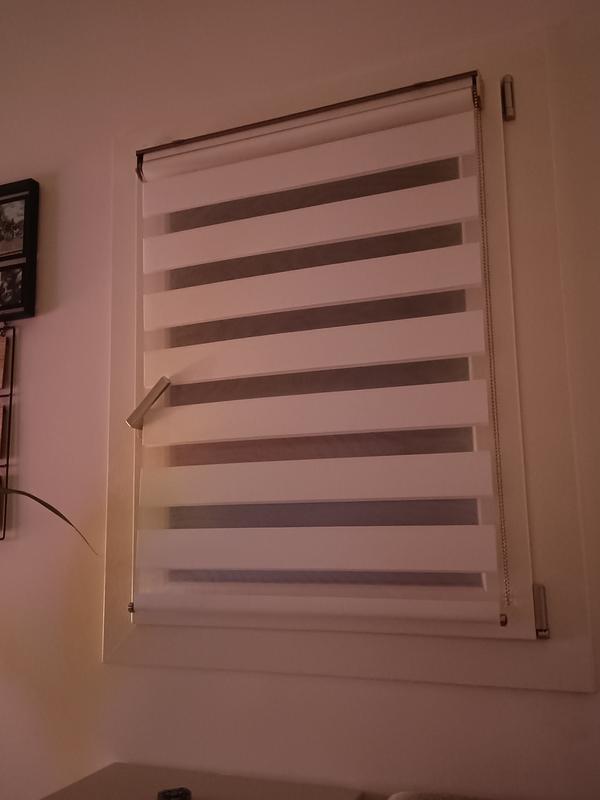 Revisione aperta modale 1 su 1