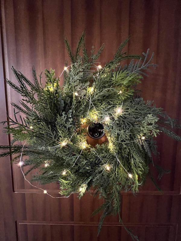 Revisione aperta modale 1 su 1