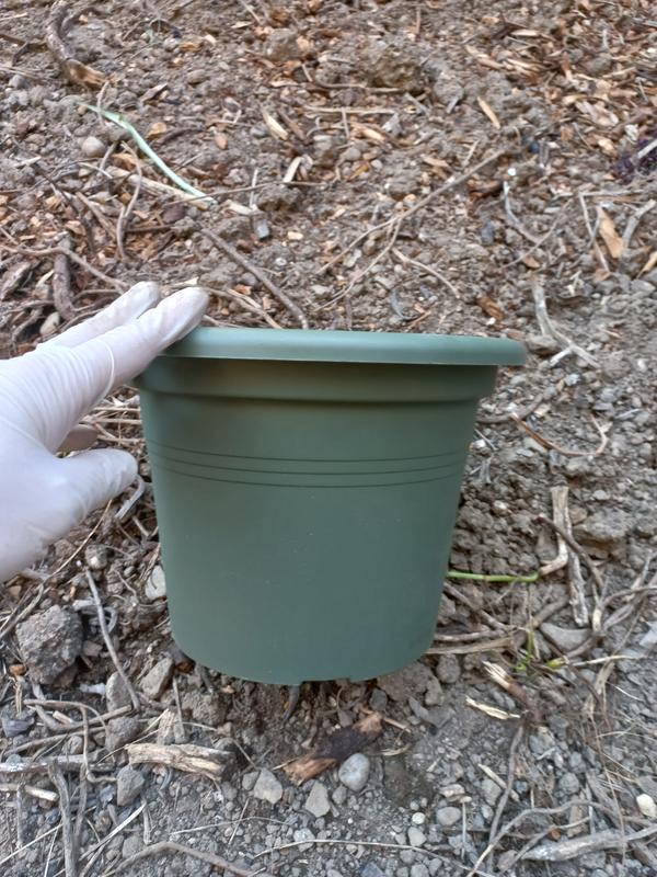 Revisione aperta modale 1 su 3