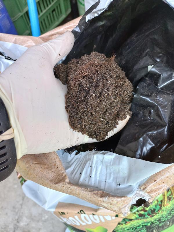 Revisione aperta modale 3 su 4