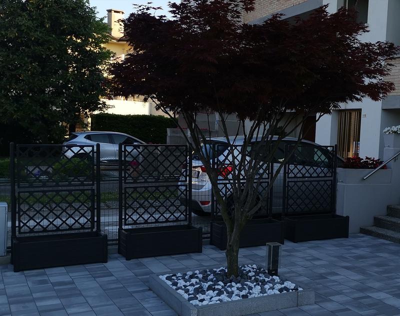 Revisione aperta modale 2 su 2