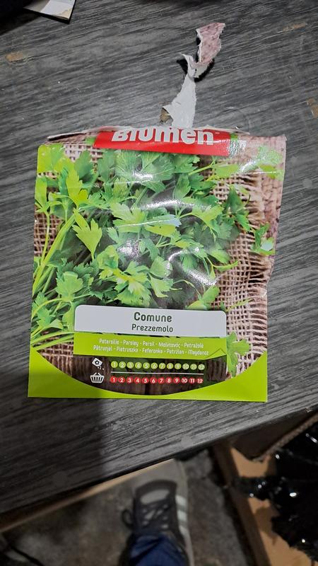 Revisione aperta modale 1 su 1