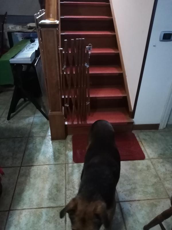 Revisione aperta modale 2 su 2