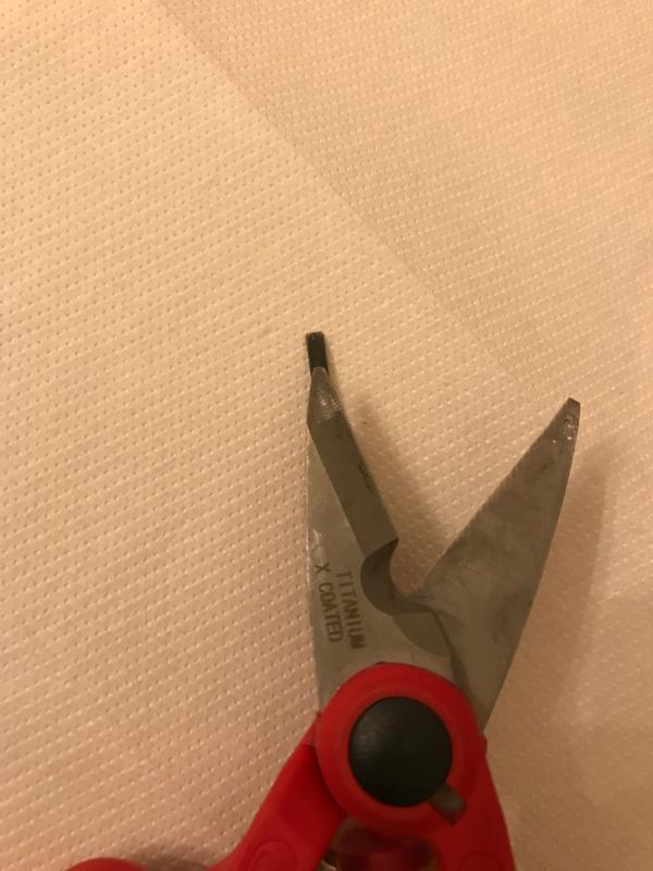 Revisione aperta modale 1 su 2