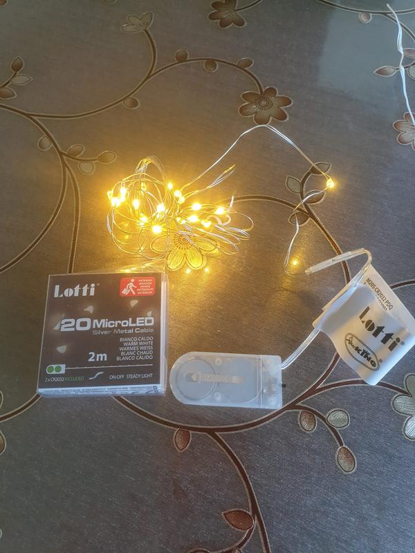 Revisione aperta modale 1 su 2