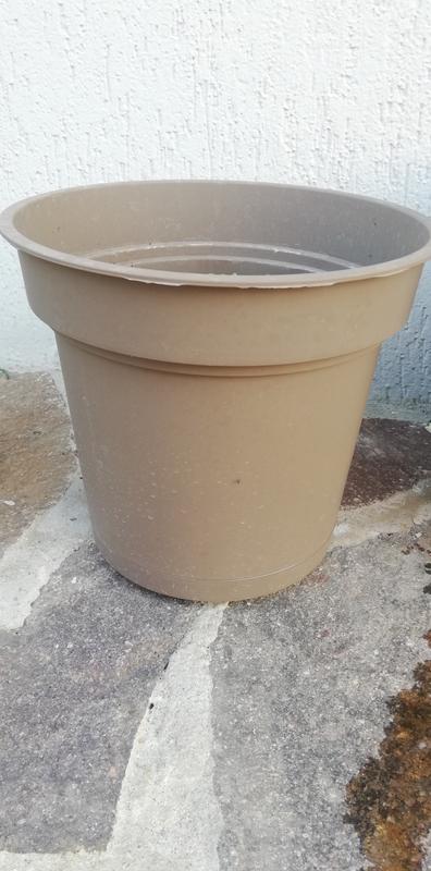 Revisione aperta modale 1 su 1