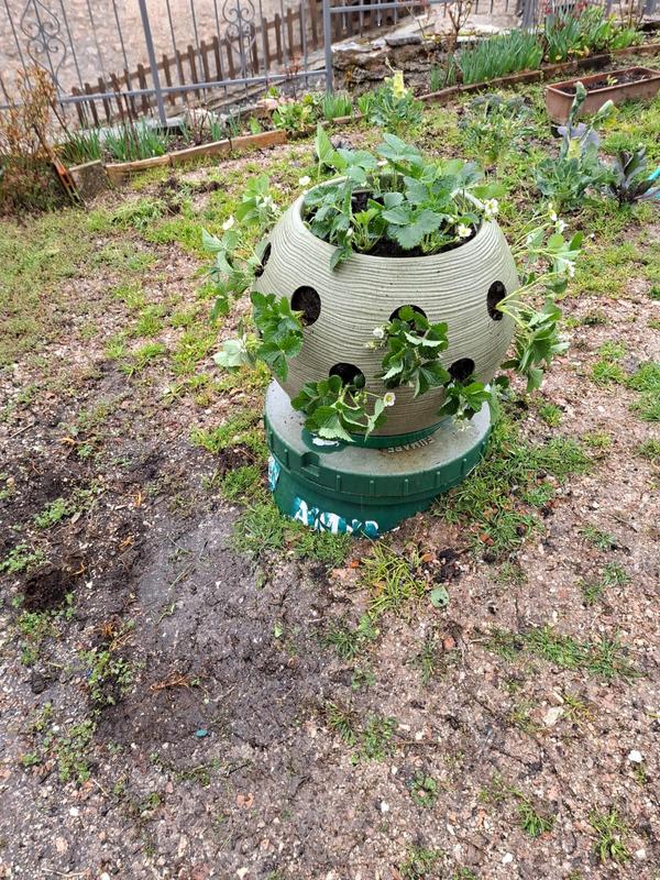 Revisione aperta modale 1 su 1