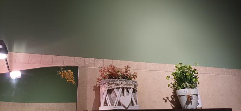 Revisione aperta modale 1 su 1