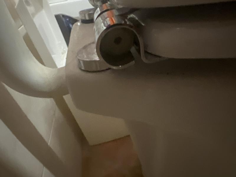 Revisione aperta modale 2 su 4