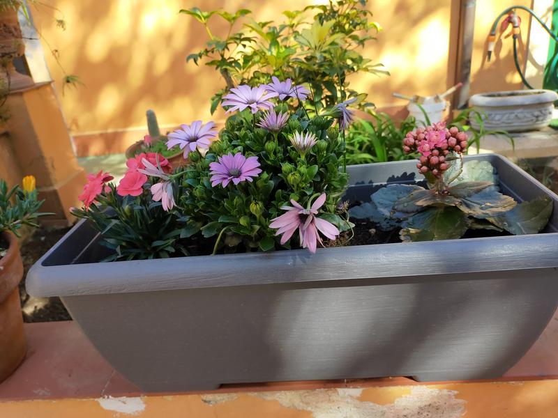 Revisione aperta modale 1 su 2