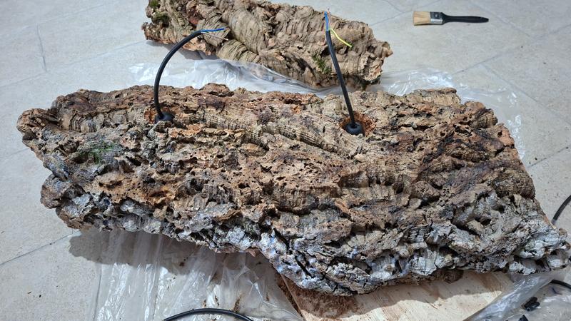 Revisione aperta modale 1 su 2