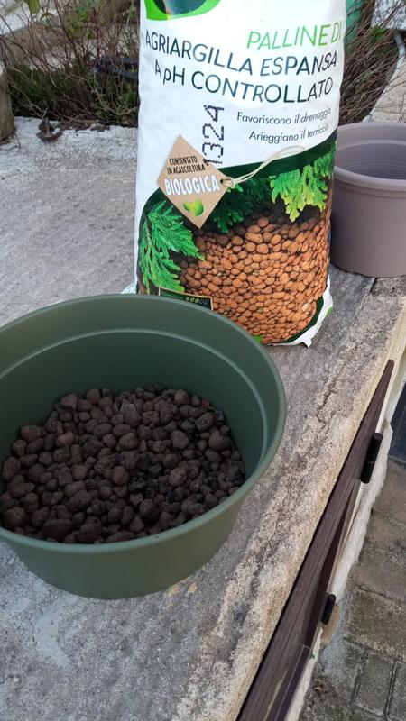 Revisione aperta modale 1 su 1