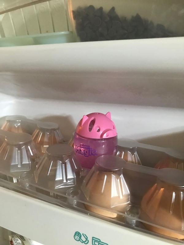 Revisione aperta modale 1 su 2