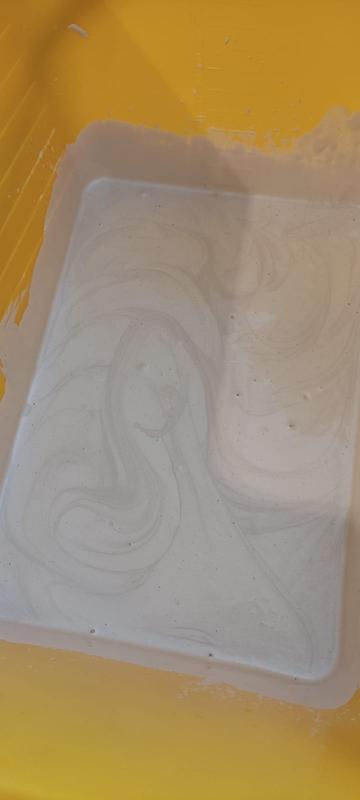 Revisione aperta modale 3 su 6