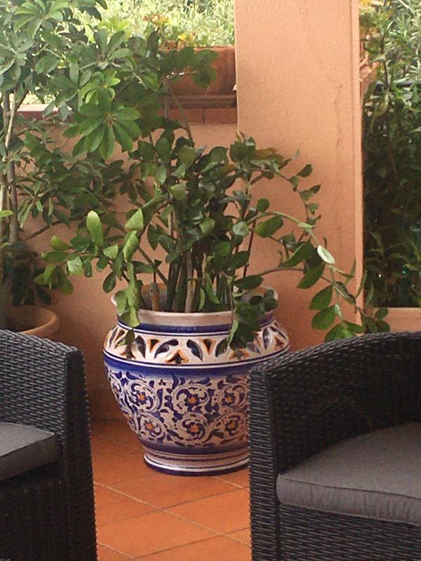 Revisione aperta modale 2 su 3