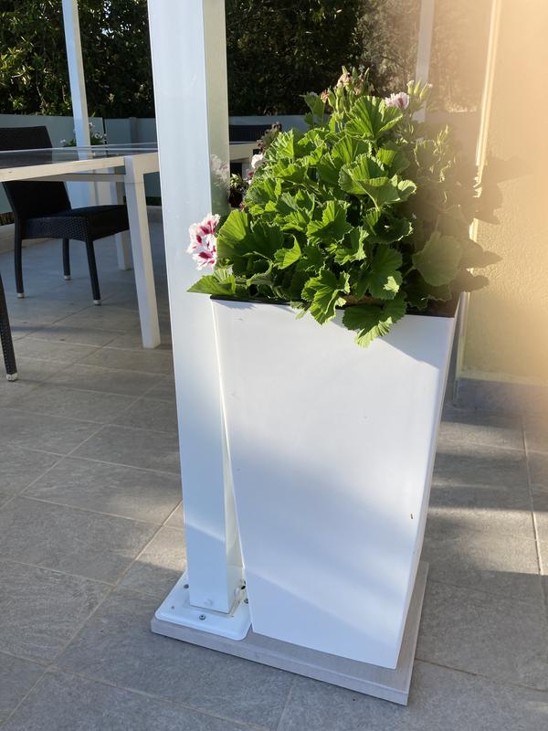 Revisione aperta modale 2 su 3