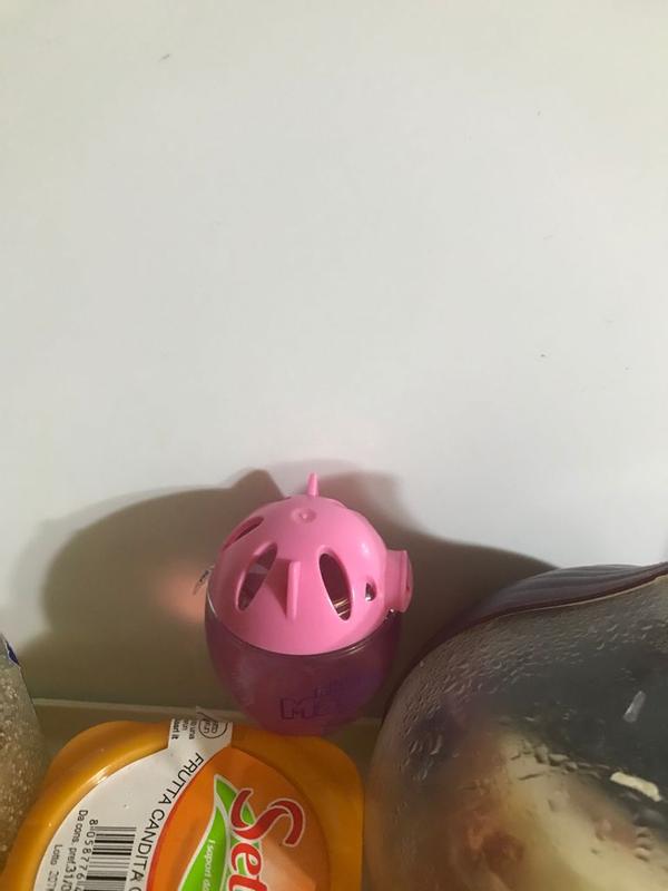 Revisione aperta modale 2 su 2