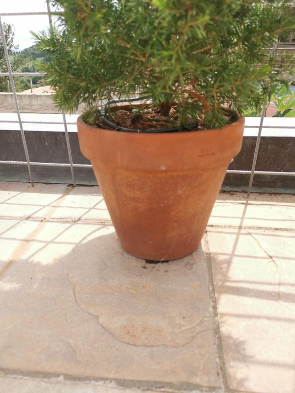 Revisione aperta modale 1 su 1