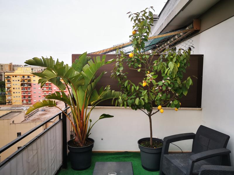 Revisione aperta modale 4 su 4