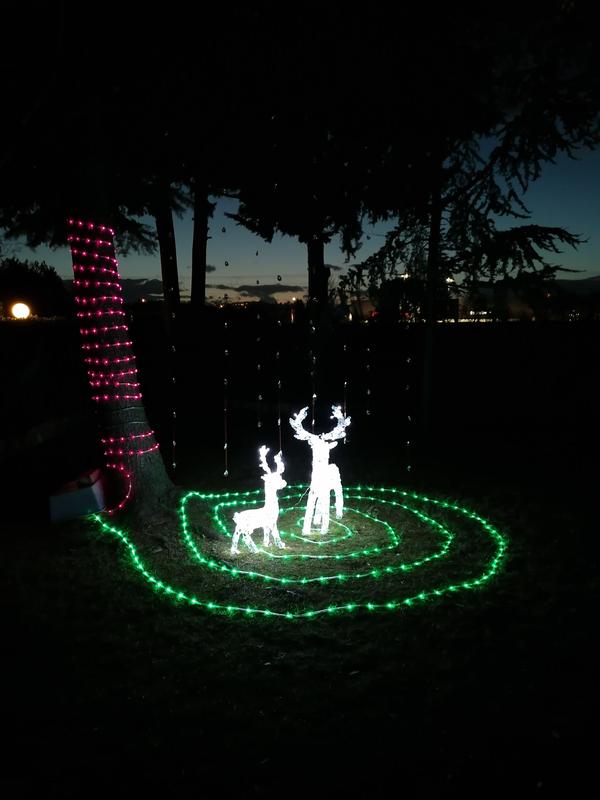 Revisione aperta modale 1 su 1