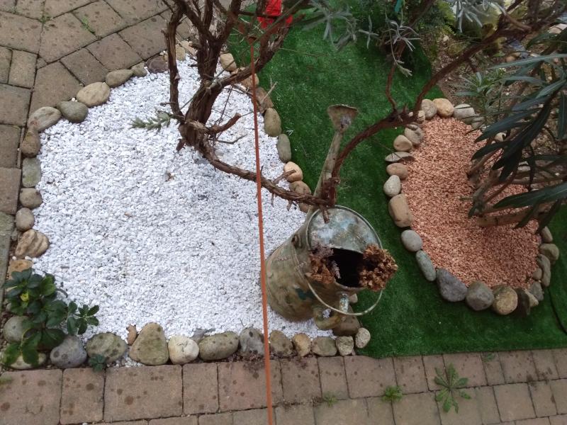 Revisione aperta modale 1 su 1