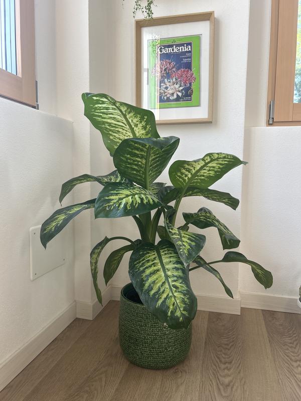 Revisione aperta modale 2 su 2