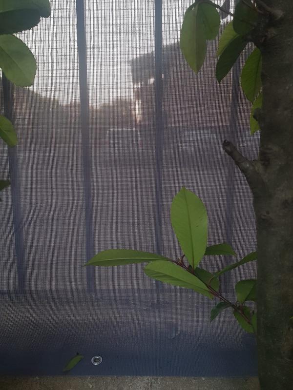 Revisione aperta modale 1 su 1