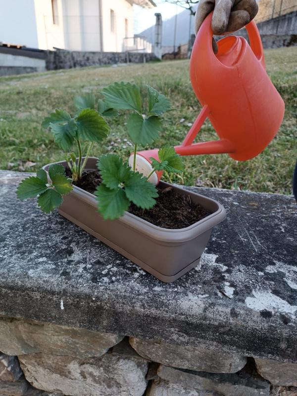 Revisione aperta modale 1 su 3