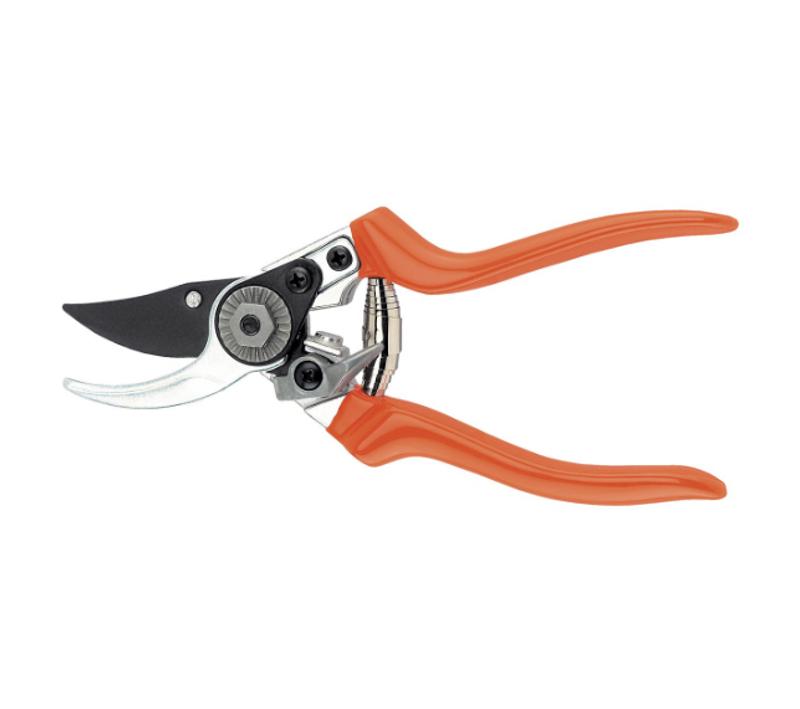 Revisione aperta modale 1 su 1