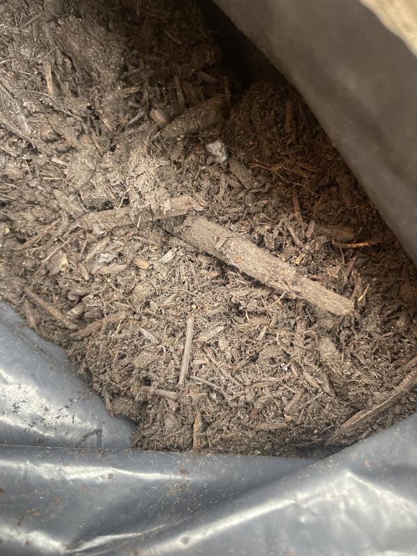 Revisione aperta modale 1 su 1