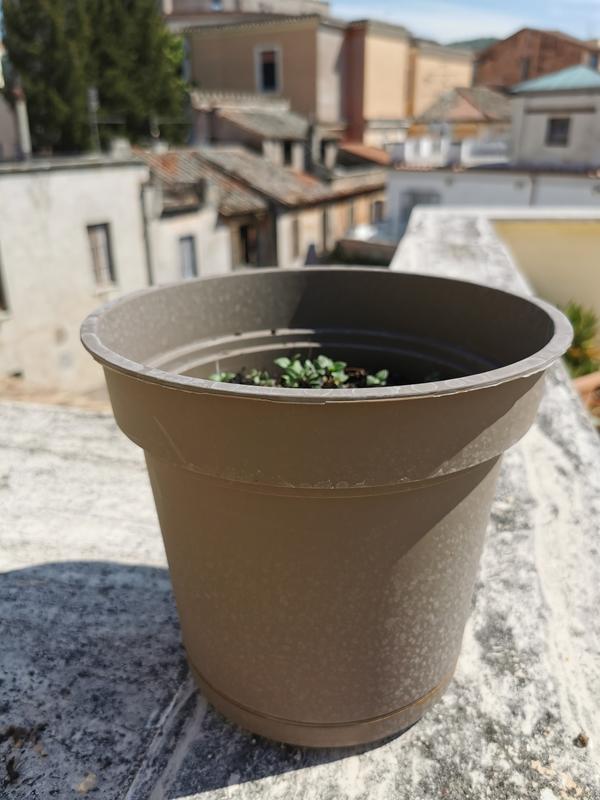 Revisione aperta modale 1 su 1