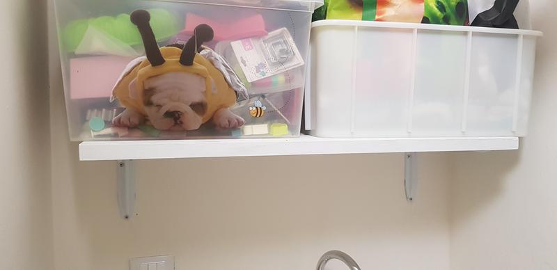 Revisione aperta modale 1 su 2