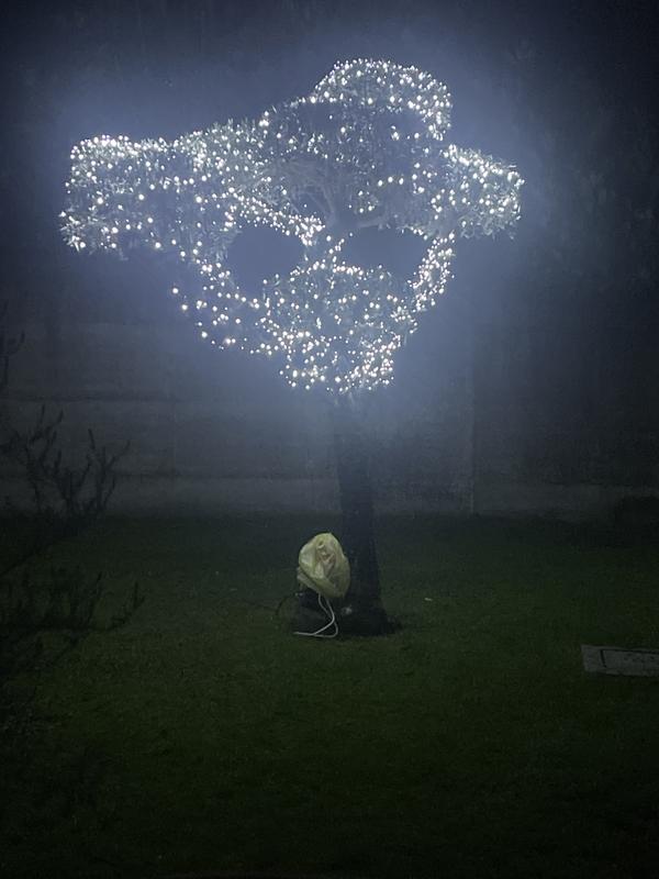 Revisione aperta modale 1 su 1