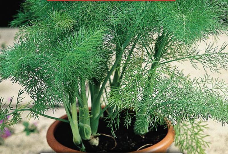 Revisione aperta modale 1 su 1