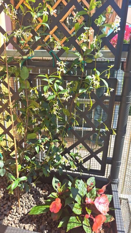 Revisione aperta modale 1 su 1