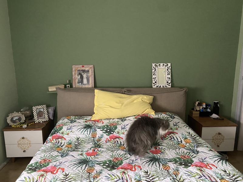 Revisione aperta modale 1 su 1