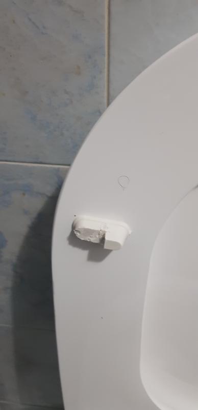 Revisione aperta modale 2 su 2