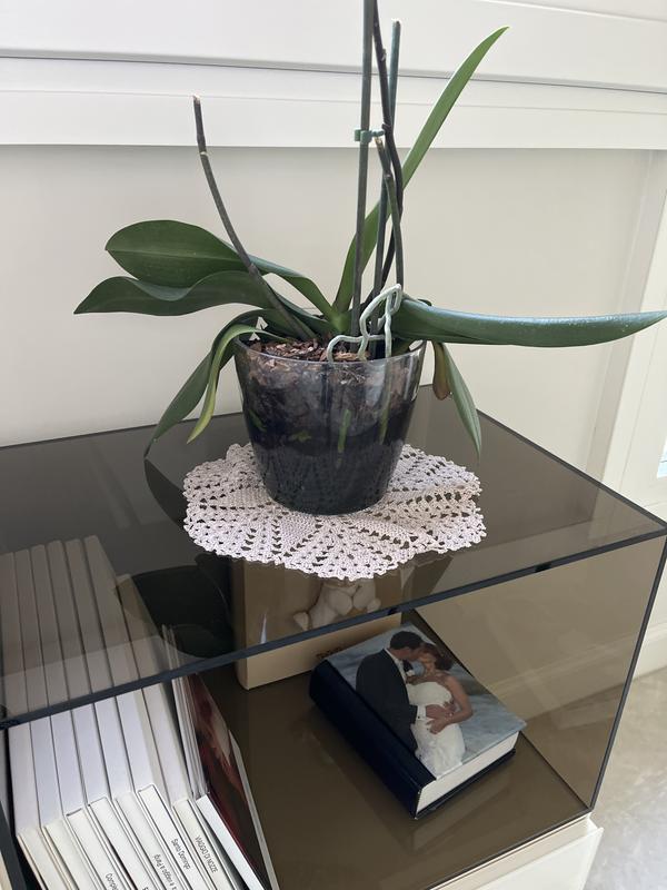 Revisione aperta modale 1 su 1