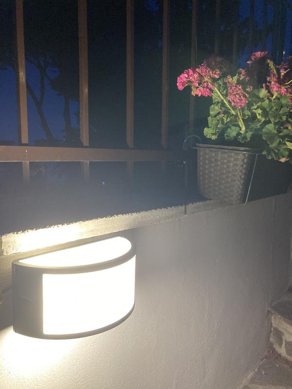 Ouvrir la fenêtre modale de l'avis 1 sur 1