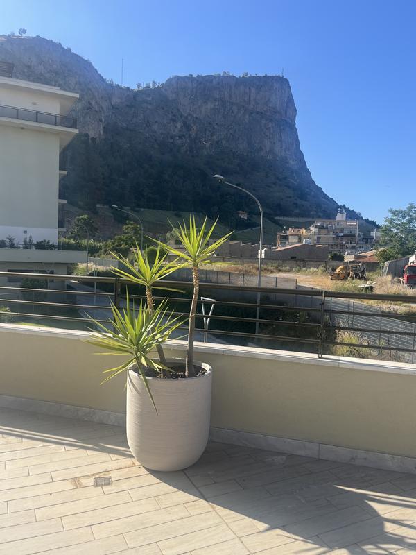 Revisione aperta modale 1 su 1