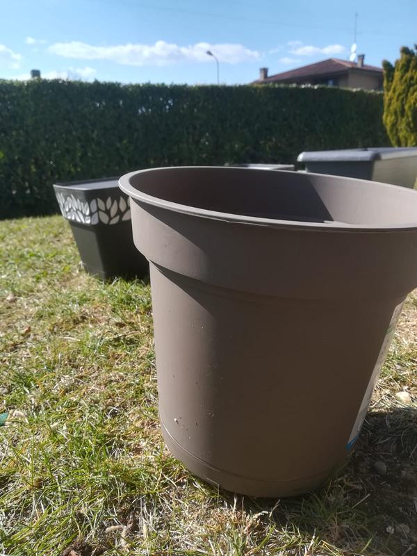 Revisione aperta modale 1 su 1