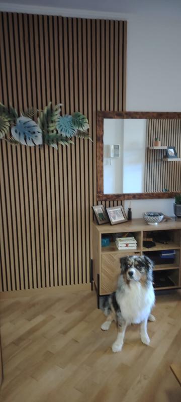 Revisione aperta modale 1 su 1