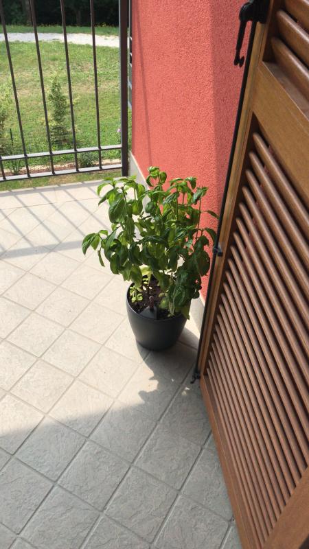 Ouvrir la fenêtre modale de l'avis 1 sur 1